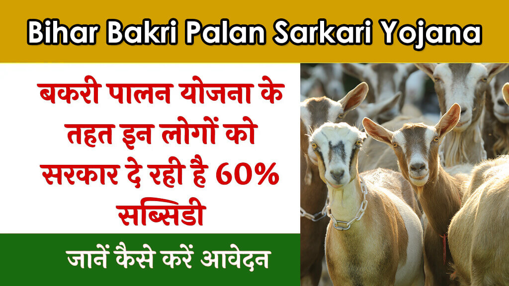 Bakri Palan Yojana Bihar 2024: बकरी पालन योजना बिहार 2024: इस योजना के अंतर्गत सरकार द्वारा 60% सब्सिडी प्रदान की जा रही है, जानें कैसे करें आवेदन